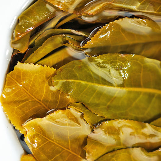 【圣兽—圣龟】2020年易武多产区茶王树拼配云南普洱茶生茶 绝世配方 巅峰拼配 1箱内含7饼*357g茶饼共2499g 商品图5