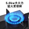 博世（BOSCH）2系5.0kW大火力 家用嵌入式双灶头燃气灶 易清洁灶头 安全熄火保护 玻璃面板 一级能效 天然气PDBJTA31MP 商品缩略图1
