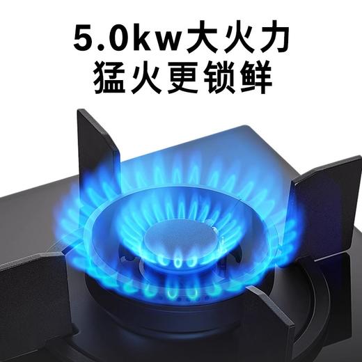 博世（BOSCH）2系5.0kW大火力 家用嵌入式双灶头燃气灶 易清洁灶头 安全熄火保护 玻璃面板 一级能效 天然气PDBJTA31MP 商品图1