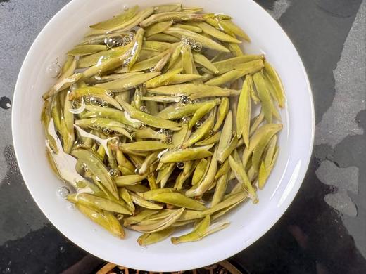 2025春 极枞·初芽 米芽级 白毫银针 福鼎白茶  250克起 商品图9