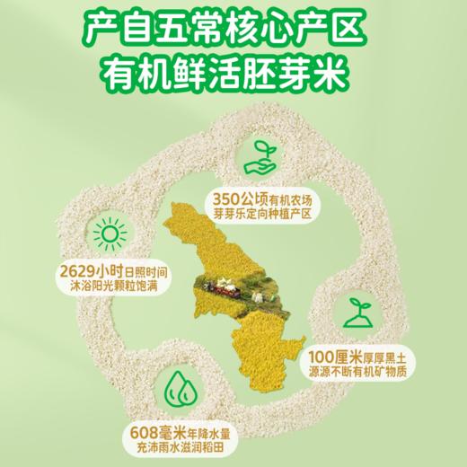 芽芽乐有机营养早餐破壁机粥米 商品图2