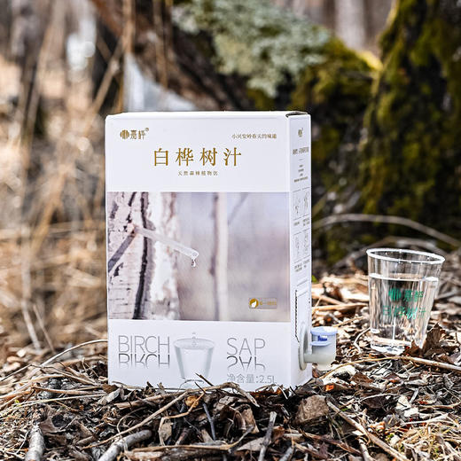 【嘉桦白桦树汁原汁】清爽革命！，Z世代的新宠，源自大自然的甘冽秘密，纯净口感 商品图9