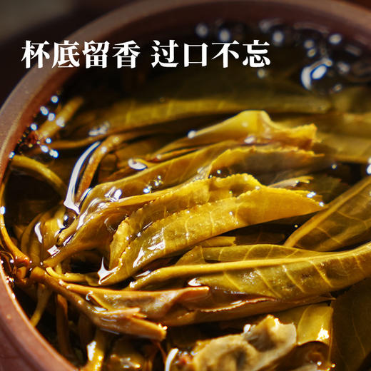 【2025年春茶预售】【白泽】神兽事业部2025年重磅力作 本品将超越市值25万的雪印青饼，代表着当代普洱茶界蕞高水平！357克/饼单饼铁盒装 7饼/箱 商品图8