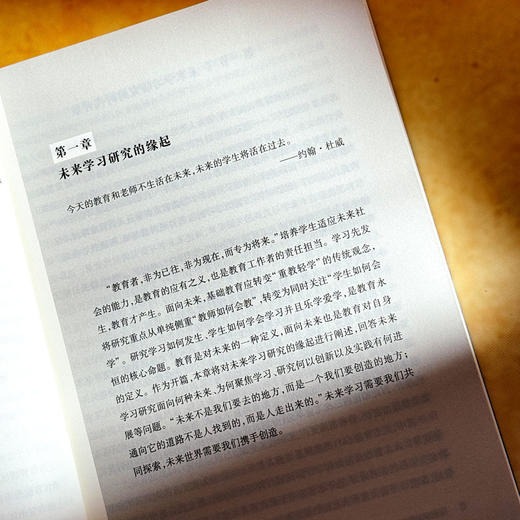 未来学习研究蓝皮书 2025 洞察学习新趋势 走进教育新未来 杨振峰 商品图8