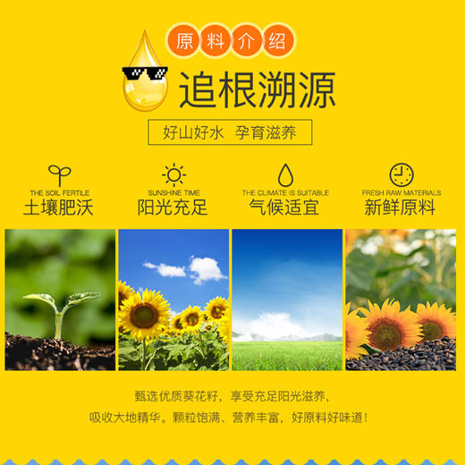 CD厨道纯葵花籽油5L 商品图2