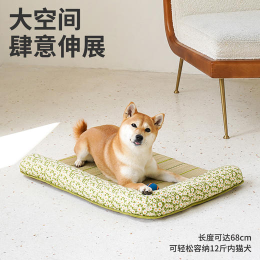 zeze新款蔺草宠物垫-B（包邮） 商品图4