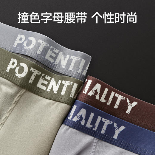 芬腾内裤男士抗菌裆莫代尔平角裤新款青年舒适透气四角裤头短裤衩 商品图2