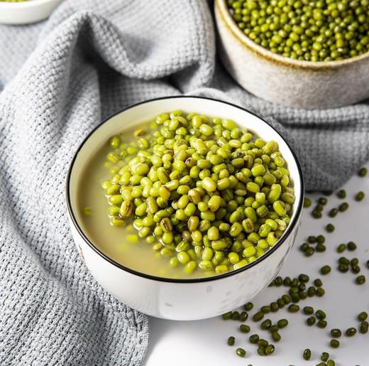 心选丨2025新东北农家绿豆 商品图2