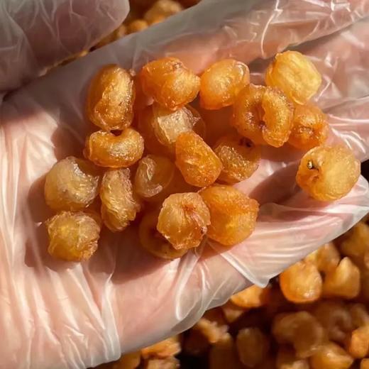 元若曦高州9A老树鸡眼桂圆肉龙眼肉无核干果桂圆干 商品图1