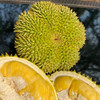 【整果销售】甲伦榴莲 500g（超重部分补差价） 商品缩略图0