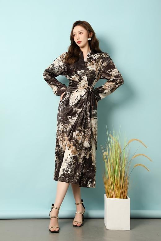 ANSUABEL 中式水墨印花光泽感醋酸连衣裙 18185 商品图3