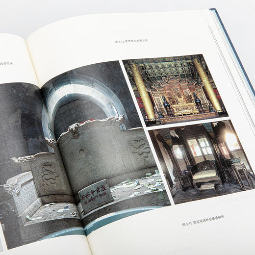 偶遇：在漫游中感知艺术 巫鸿 著（第20届文津奖获奖图书） 商品图6