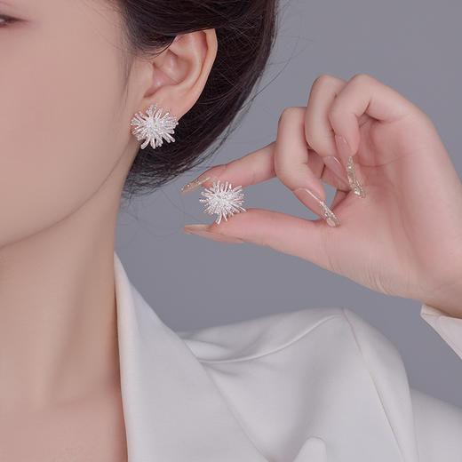 雀说轻奢高级感银色蒲公英耳钉LY-0944 商品图1