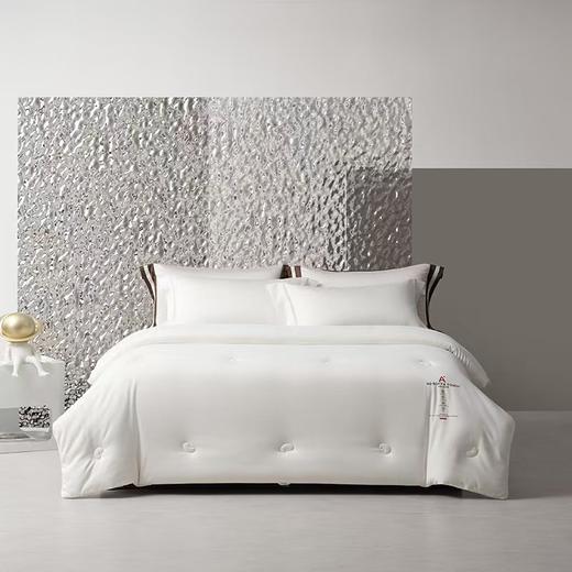 梦洁 亲柔A类抗菌大豆四季被：喜乐 商品图1