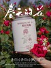 元若曦·墨红玫瑰花茶送压花匙+礼品袋冻干玫瑰花茶泡茶【佳人严选】 商品缩略图2