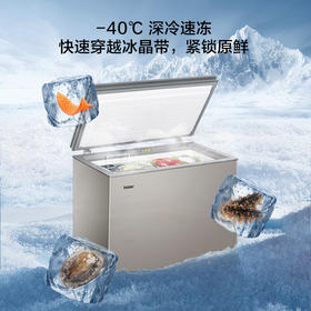海尔（Haier）203升智控彩晶低霜商用家用冰柜 冷藏柜冷冻柜
