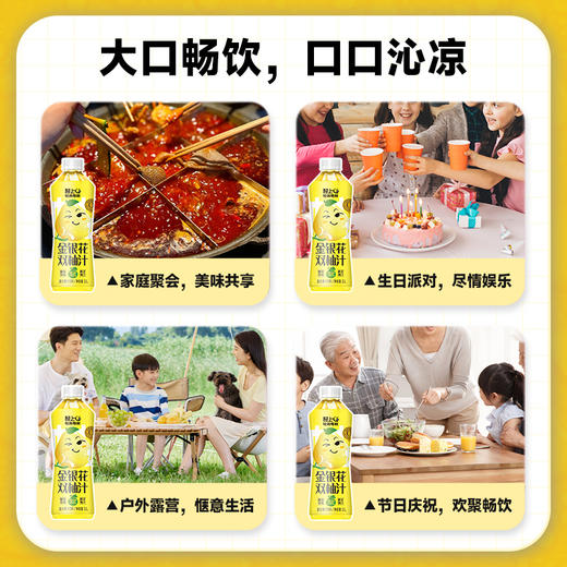 轻上大瓶金银花双柚汁秋冬滋润复合果汁0添加蔗糖饮品 商品图4