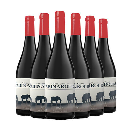 智利进口法比纳古堡神像干红葡萄酒750ml*6瓶 商品图0
