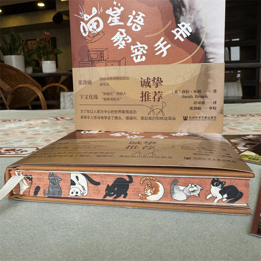 喵星语解密手册 特装版 读懂小猫 猫猫拯救世界 商品图2