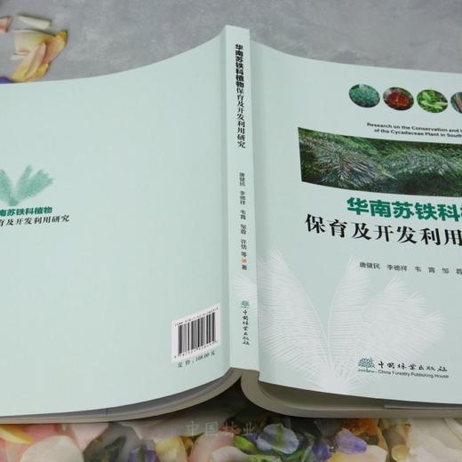 华南苏铁科植物保育及开发利用研究 &2849 商品图4