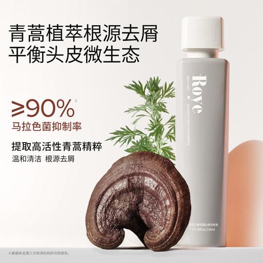 【控油/洗护】Roye若也去屑止痒/控油蓬松/滋养柔净/防脱固发 洗发水洗发露洗头膏男女柔顺洗发液套装 商品图8