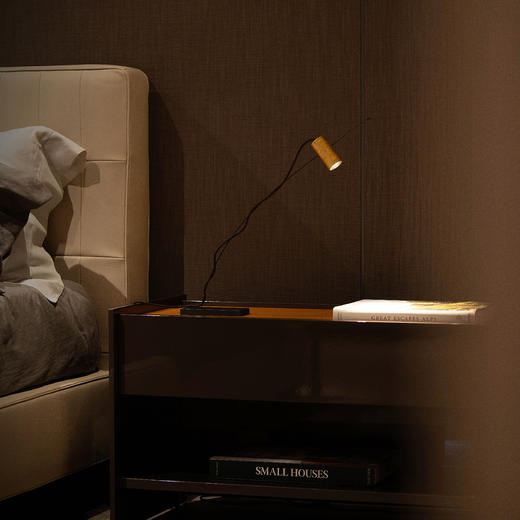 摩根垂钓系列聚光台灯 商品图10