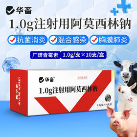 华畜 1g*10支注射用阿莫西林钠 抗菌消炎 混合感染 胸膜肺炎