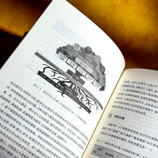 高品质学校课程体系 课程治理现代化丛书 王琦 特色课程建设 商品图11