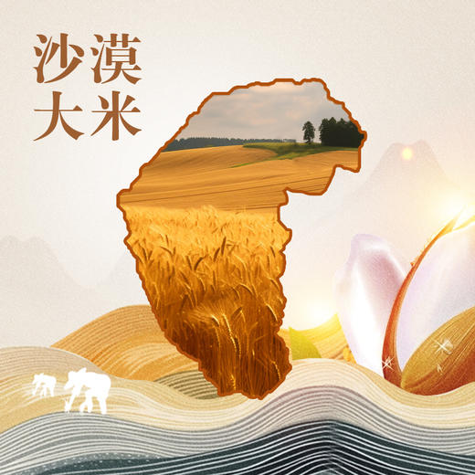 内蒙古通辽市奈曼旗定丰农场蒙优2号沙漠大米5kg/盒(250g*20袋) 商品图4