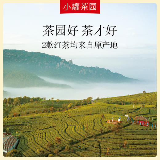 小罐茶园 红茶组合茶120g 商品图4