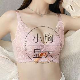 【性感上托小胸聚拢】无痕美背内衣女无钢圈显大上托文胸罩苏樱洛心
