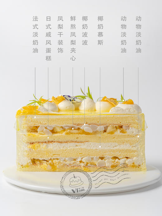 凤梨椰椰 商品图1