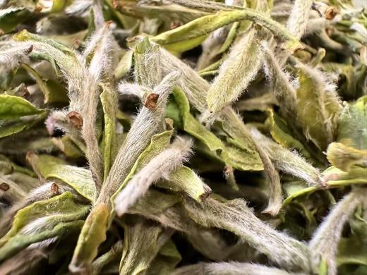 2025春 天工·荒小白  树龄50-60年  尴尬的茶 优美的价  250克起 福鼎白茶 商品图2