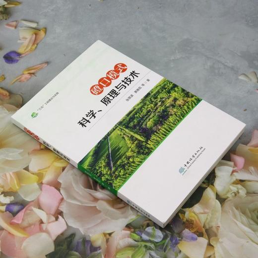 磴口模式科学、原理与技术 &2785 商品图4