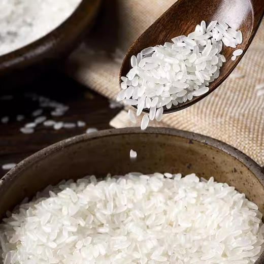 龙凤臻淳五常大米2.5kg 商品图4