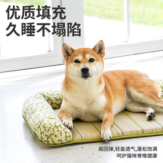 zeze新款蔺草宠物垫-B（包邮） 商品图1