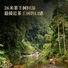 【百花潭高杆】茶王树同源稀少高杆，爱茶老客‘心头宝’ 选取茶王树周边三棵大高杆单采单制 全球仅有八棵高杆古树！ 357克/饼 商品缩略图2