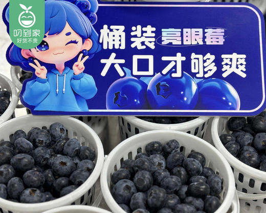 大凉山优瑞卡日出蓝莓中果量贩桶（400g±25g/桶） 商品图1
