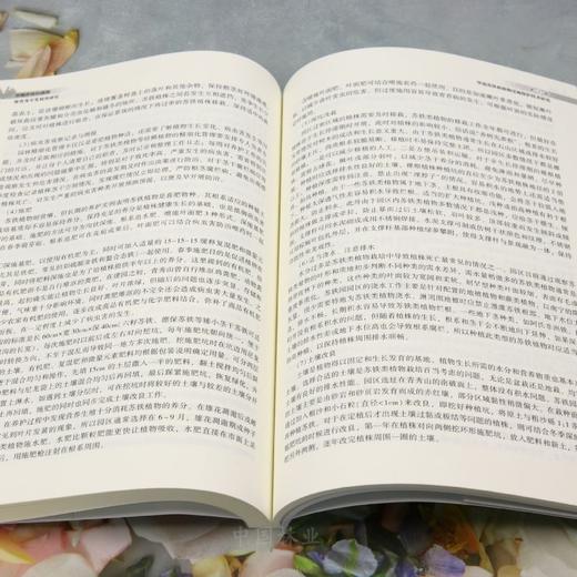 华南苏铁科植物保育及开发利用研究 &2849 商品图3