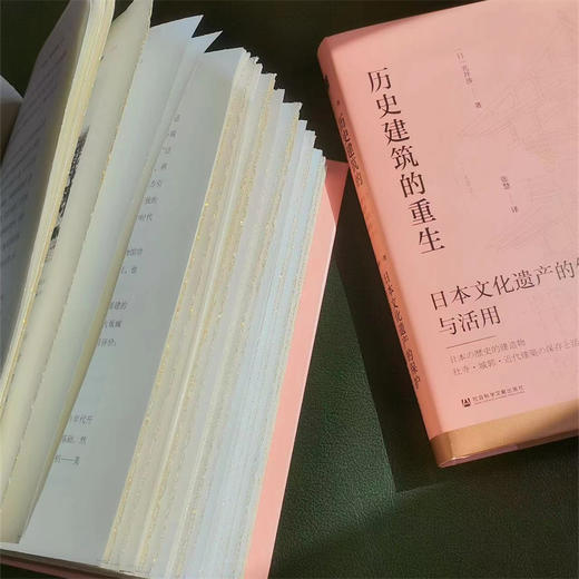 历史建筑的重生 毛边版 日本文化遗产的保护与活用 光井涉著 商品图1