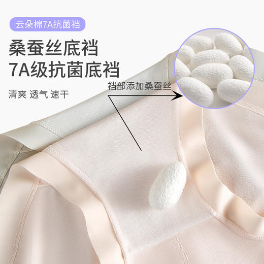 樱姿娜小卫士亲亲裤WL87008，50支云朵棉面料，5条礼盒装 商品图2