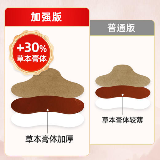 百年扁氏三七贴增强版 商品图2