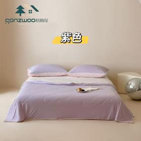 2025新款松植屋小冰龙冰皮被夏凉被冰淇淋凉感被抗菌A类空调被可水洗