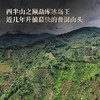 【冰岛王】西半山之巅勐库冰岛王，近几年升值最快的普洱山头！茶韵淸劲如山风呼啸 357克/饼 商品缩略图4
