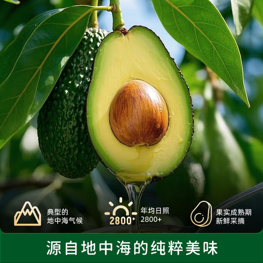 【品牌直供】碧欧奇辅食油 商品图7