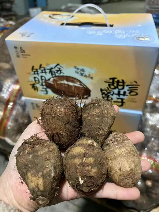 竹节香芋头💕甜言蜜芋💕
丝滑‼️ 软糯 ‼️ 香‼️
丝滑软糯，吃不出颗粒感的细腻 100分 商品图3