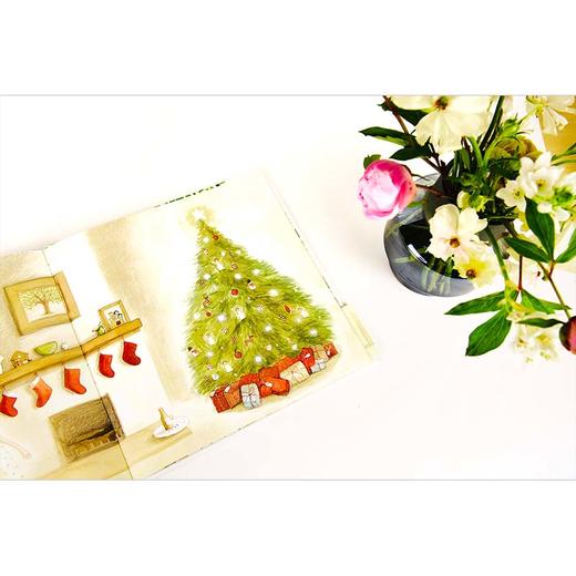 【独秀书香卡】魔法象·图画书王国  我们的一年：澳大利亚的春夏秋冬  2~4岁、4~8岁 儿童故事 儿童绘本 商品图1