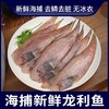 【顺丰京东包邮】福利团59.9到手12-16条️鲜冻龙利鱼野生捕捞肉质肥美细嫩只有一根主刺无小刺无腥味做法简单多样基地直邮 商品缩略图1