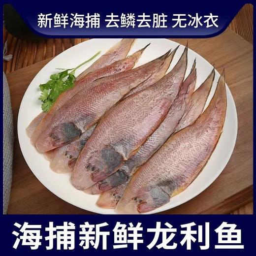 【顺丰京东包邮】福利团59.9到手12-16条️鲜冻龙利鱼野生捕捞肉质肥美细嫩只有一根主刺无小刺无腥味做法简单多样基地直邮 商品图1