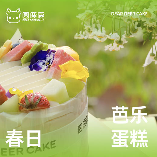 香缇芭乐 商品图2